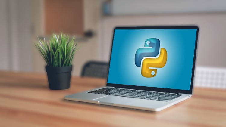 Python Programming Bootcamp 2021 | Master Python Programming