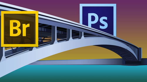 Adobe Photoshop Deep Dive: Adobe Bridge