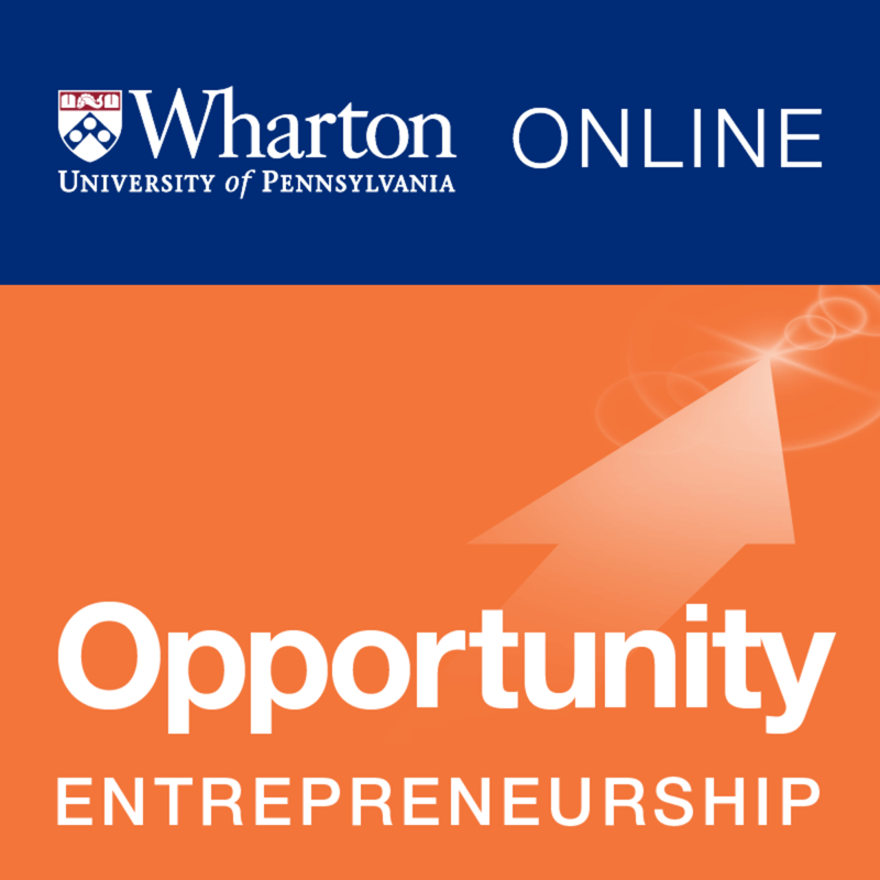 Entrepreneurship 1: Developing the Opportunity