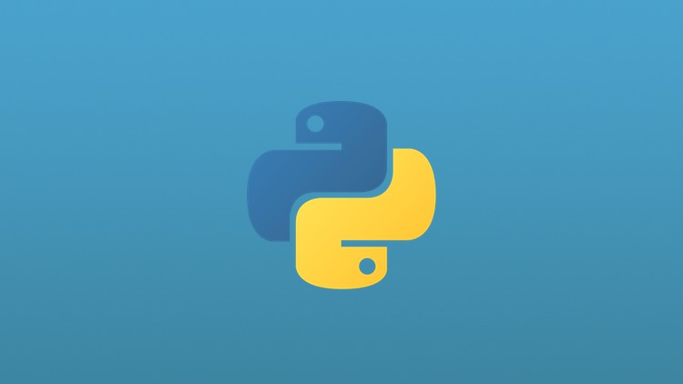 Learn to think and act like a programmer with Python in 2021