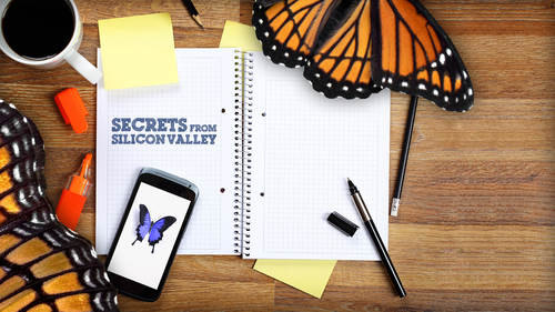 Secrets from Silicon Valley