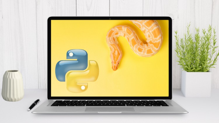 Python Made Easy for Beginners: Small Basis - Full Power