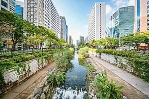 Sustainable Cities: Governing Urban Adaptation Under Climate Change