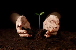 Soils: Introducing the World Beneath Our Feet