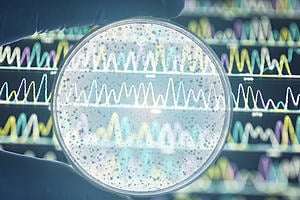 Bacterial Genomes: Disease Outbreaks and Antimicrobial Resistance