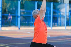 Personal Trainer's Toolkit: Developing Fitness Programs for Older People