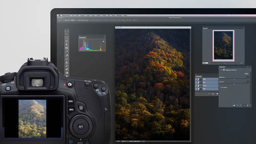 Adobe Photoshop for Photographers: Beyond the Basics