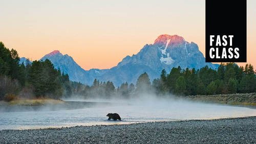 FAST CLASS: The Art of Wildlife Photography