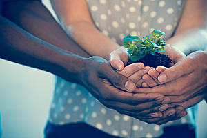 Social Enterprise: Growing a Sustainable Business