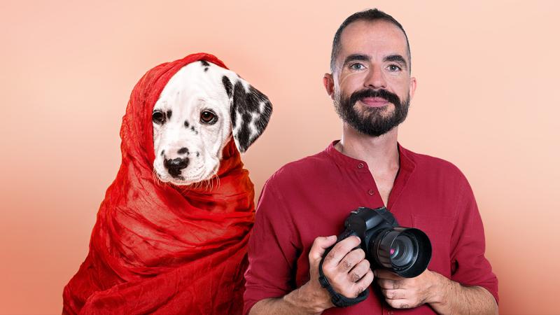 Introduction to Dog Photography