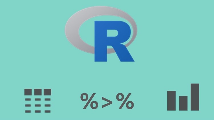 Efficient R Programming with the Tidyverse