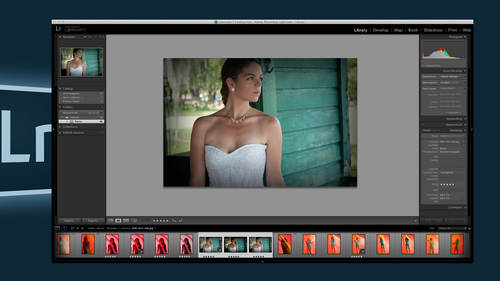 Lightroom Library Module