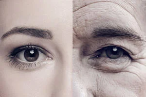 Why Do We Age? The Molecular Mechanisms of Ageing
