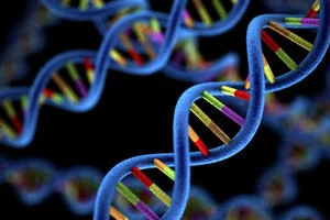 The Genomics Era: the Future of Genetics in Medicine