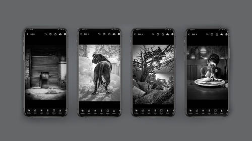 Mobile Photography: Creating Black & White Images Using Lightroom Mobile