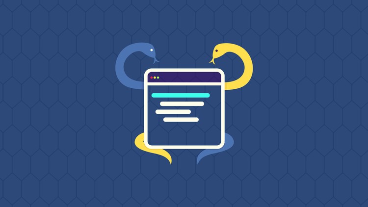 Learn Python by solving 100 Coding Challenges
