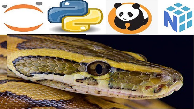 Python Bootcamp for Data Science 2021 Numpy Pandas & Seaborn