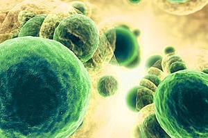 Challenges in Antibiotic Resistance: Gram Negative Bacteria