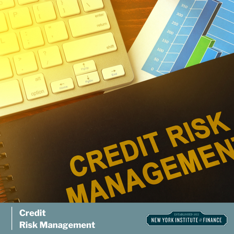 Credit Risk Management: Frameworks and Strategies