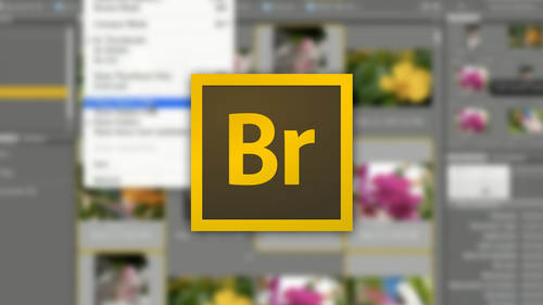 Organize Your Images with Adobe Bridge