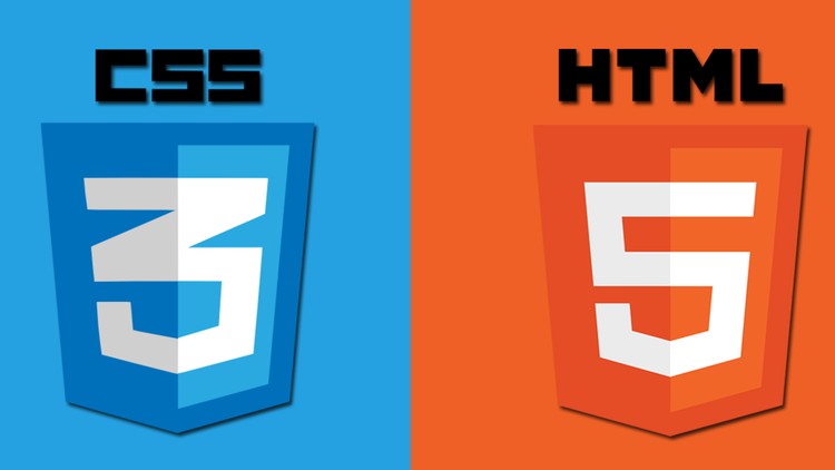 HTML & CSS For Beginners