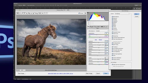 Automating Photoshop Camera Raw