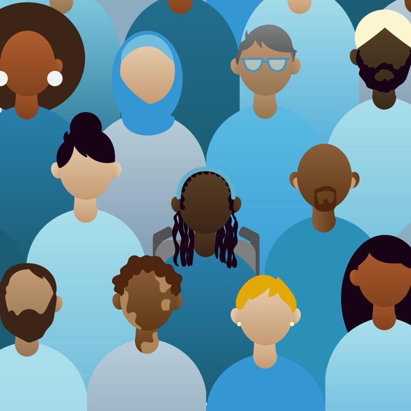 Diversity and Inclusion for HR Professionals