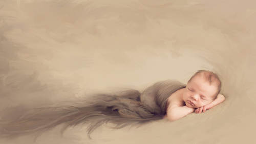 The Creative Newborn Photography Studio