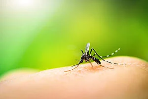 The Global Challenge of Vector Borne Diseases and How to Control Them