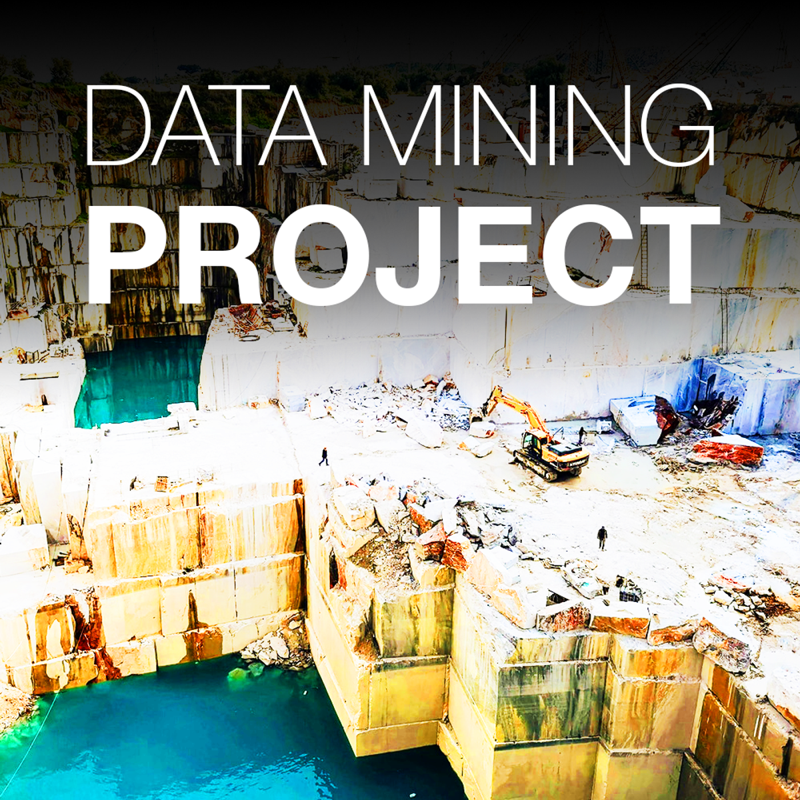 Data Mining Project